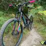 Canyon Strive Image 2