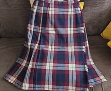 School skirt