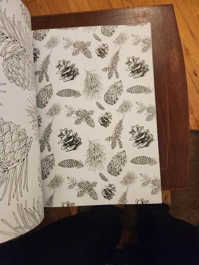 The Flowers And Nature Colouring Book.  Large Volume Paperback In Good Condition.