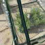 Mini Greenhouse with steel frame x 2 Image 4