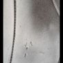 pony saddle Image 5