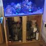 marine fish tank Image 5