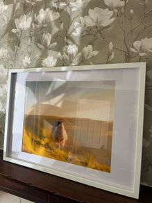 Sheep painting in frame