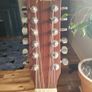 Acoustic Fender Guitar 12 String Image 5