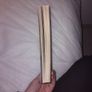A series of unfortunate events Book 1:The Bad Beginning Image 3