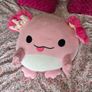 Squishmallows Image 2