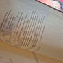 The Hunger Games Books Suzanne Collins First Editions Bundle Image 10