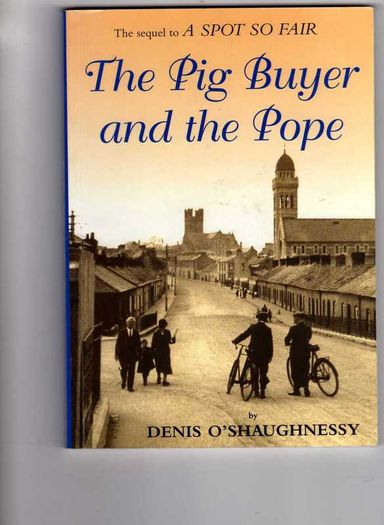 Books On Limerick