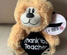 Thank you Teacher small bear