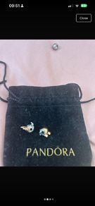 Pandora Essence Charms