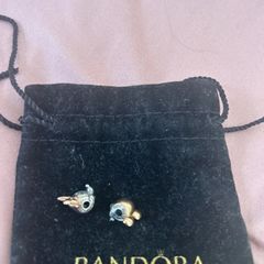 Pandora Essence Charms