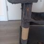 Cat Tree Image 2
