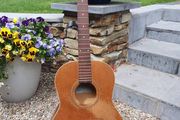 Seagull S6+ Folk Project Guitar
