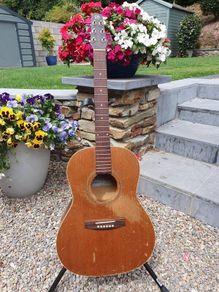 Seagull S6+ Folk Project Guitar