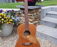 Seagull S6+ Folk Project Guitar