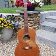 Seagull S6+ Folk Project Guitar