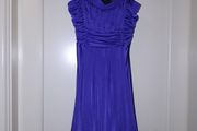 Gorgeous Purple Dorothy Perkins dtrss Size 12