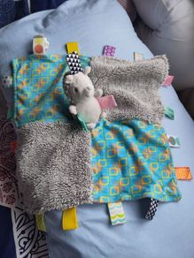 Hedgehog Taggie