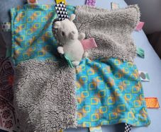 Hedgehog Taggie