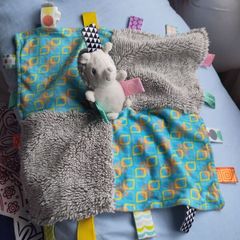 Hedgehog Taggie