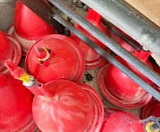 Automatic Bell Drinker for poultry