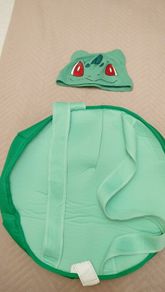 Pokemon costume