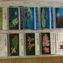Call Cards lot Image 9