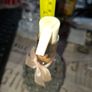 Perfume Empty Bottles sold as a lot, Postage Available or Collection is always welcome and Recommended in Rochfortbridge Westmeath Image 8