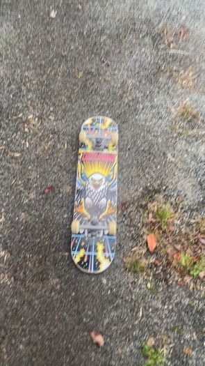 Tony hawk skateboard