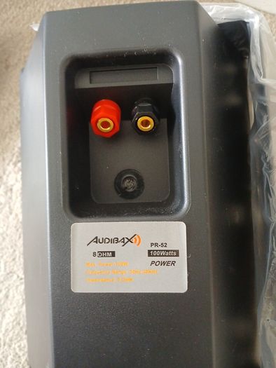 passive speakers 100w 8ohm with wall brackets