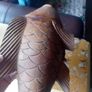 Large vintage hardwood koi carp planter Image 9