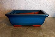 Small Bonsai Pot #3