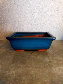 Small Bonsai Pot #3