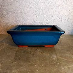 Small Bonsai Pot #3