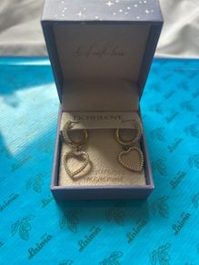 Dottilove 18K Gold Plated Heart Earrings Stainless Steel New In Box