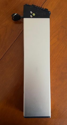 Fiido M1 Pro battery
