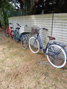 bikes
