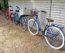 bikes