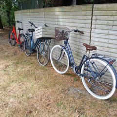 bikes