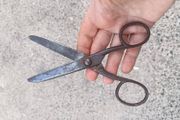 W. Whitney Vintage Forged Tailoring Shears