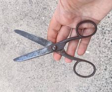 W. Whitney Vintage Forged Tailoring Shears
