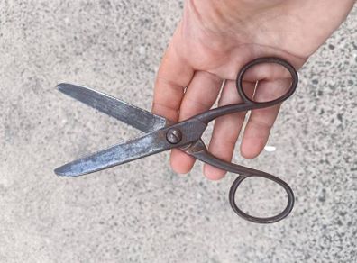 W. Whitney Vintage Forged Tailoring Shears