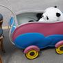 Irish Vintage Childrens Push Cart / Display Wagon Image 4
