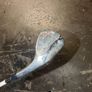 golf Image 10