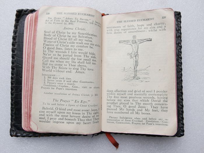 Vintage Catholic pocket prayer manual titled The Voice of the Church, compiled by Father Aloysius, O.S.F.C., and published in Dublin by M.H. Gill & Son, Ltd.