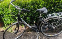 Free Bike