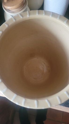 Large Ceramic Plant Pot