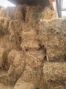 Small hay bales