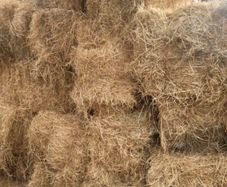Small hay bales