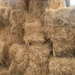 Small hay bales